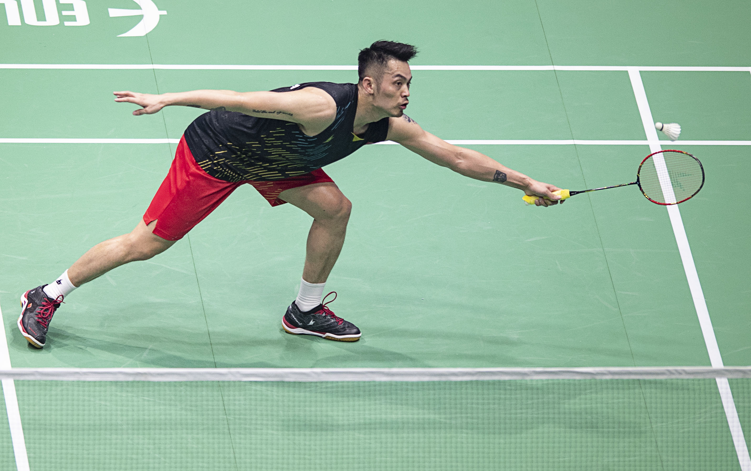 填补了上半 填补了上半