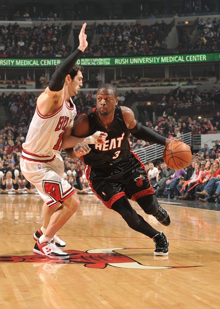 提供专业的 提供专业的