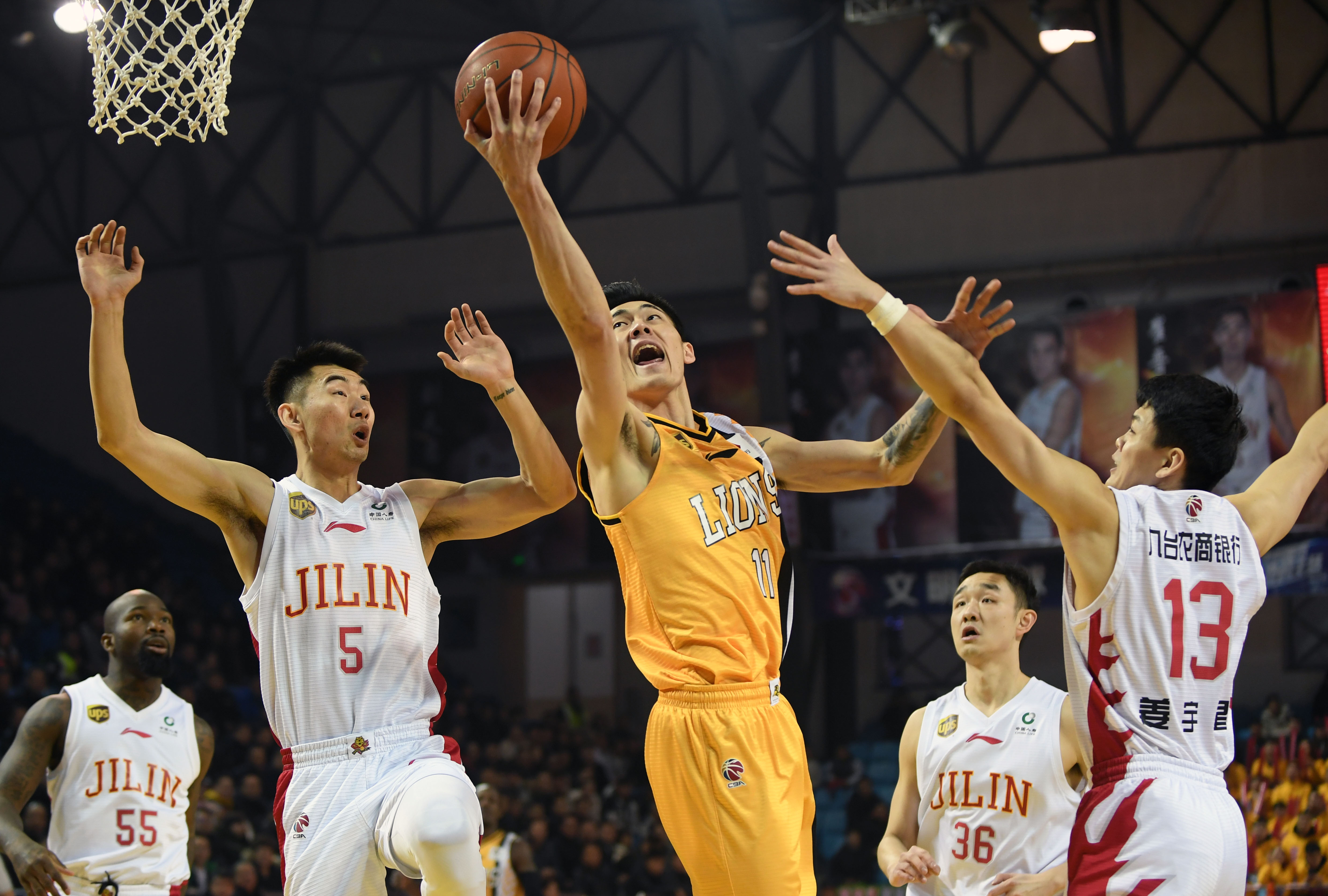 稳健的组织 稳健的组织